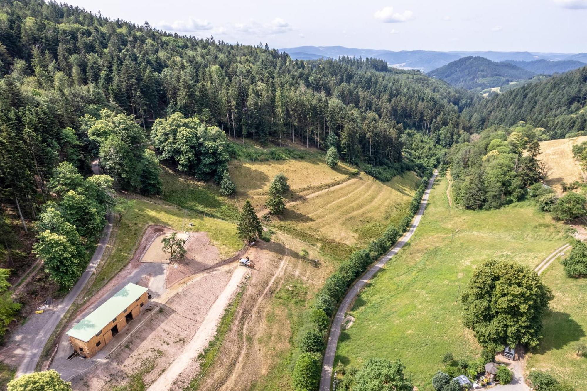 Ferienhaus Giessler Nordrach Exteriér fotografie